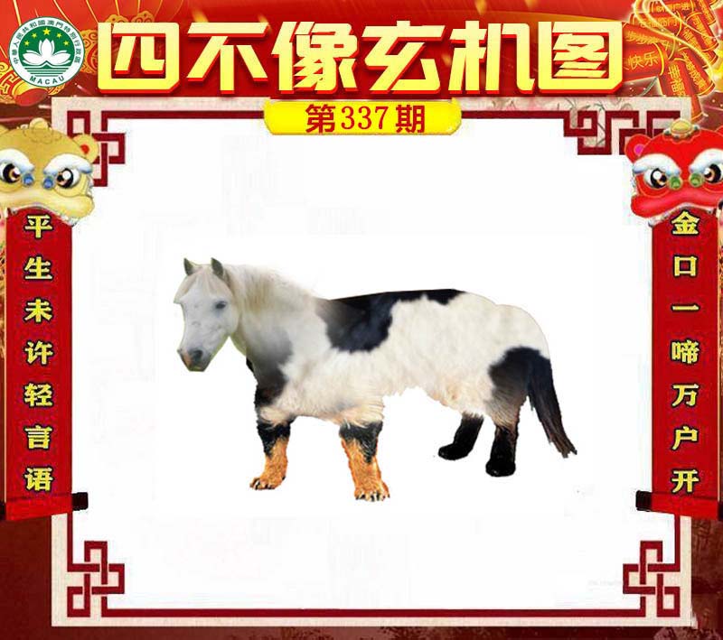 王中王四不像論壇必中一肖WW——深度解析與探索，王中王四不像論壇必中一肖WW，全面解析與探索揭秘