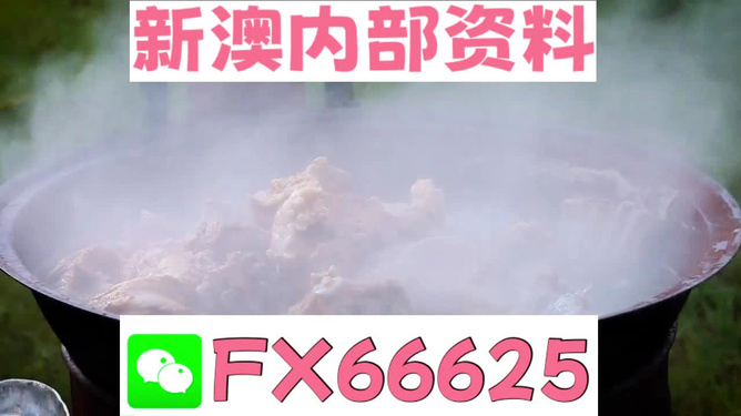 新澳全年免費(fèi)資料大全，一站式獲取優(yōu)質(zhì)資源指南，新澳全年優(yōu)質(zhì)資源免費(fèi)獲取指南