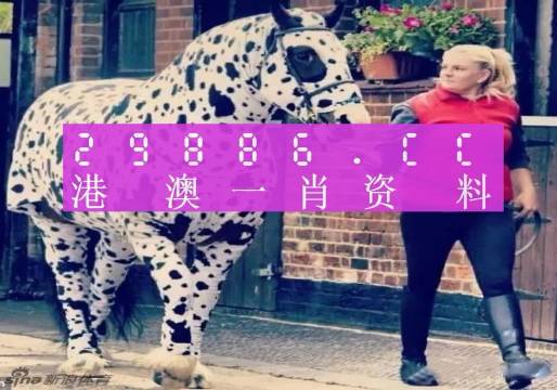 澳彩平肖王中王，一笑一碼的秘密與SEO優(yōu)化策略，澳彩平肖王中王，揭秘一笑一碼背后的SEO優(yōu)化策略