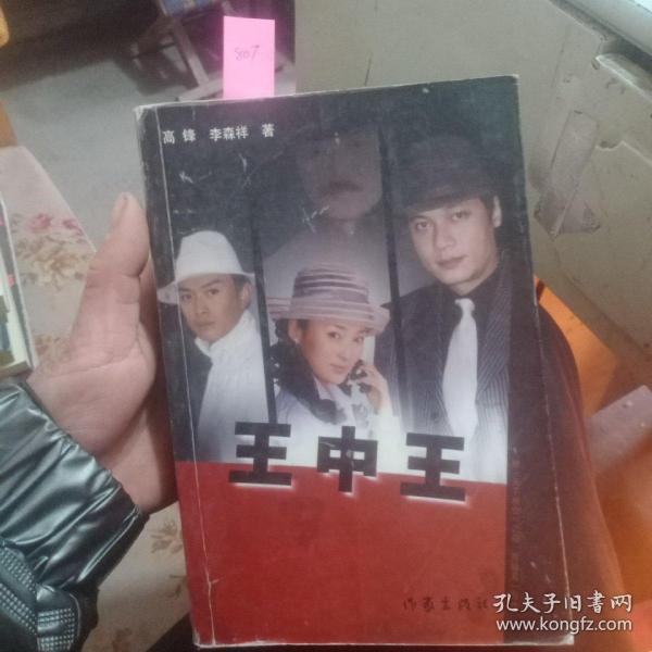 王中王資料一肖中天，深度解析與探索，王中王資料一肖中天，深度剖析與探索
