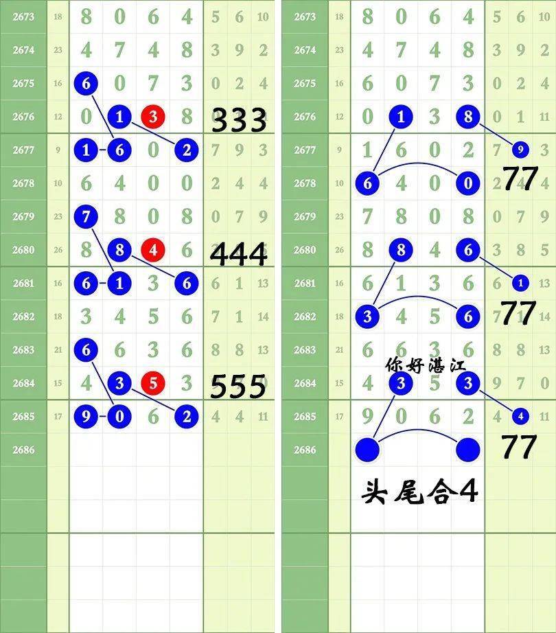 一肖三碼王中王絕密，揭秘背后的秘密與策略洞察，揭秘一肖三碼王中王絕密策略與背后秘密