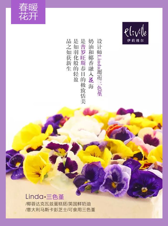 王中王339期指一生肖——探尋背后的秘密與玄機(jī)，探尋王中王339期生肖背后的秘密與玄機(jī)