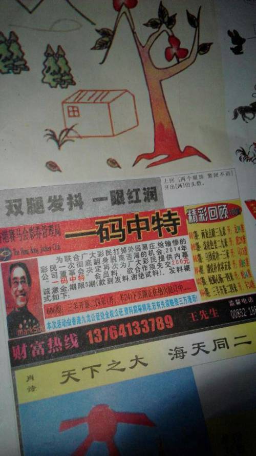 欲錢詩(shī)猜一肖——探尋王中王的奧秘，探尋王中王的奧秘，欲錢詩(shī)猜一肖