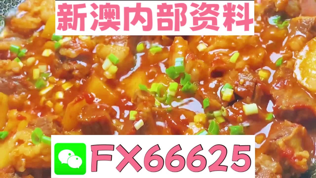 新澳2025正版資料大全——全面解析與深度探索，新澳2025正版資料大全，全面解析與深度探索指南