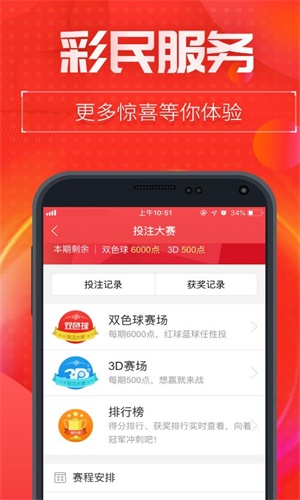王中王一肖二碼中特，揭秘彩票背后的秘密與策略，揭秘彩票背后的秘密與策略，王中王一肖二碼中特探討