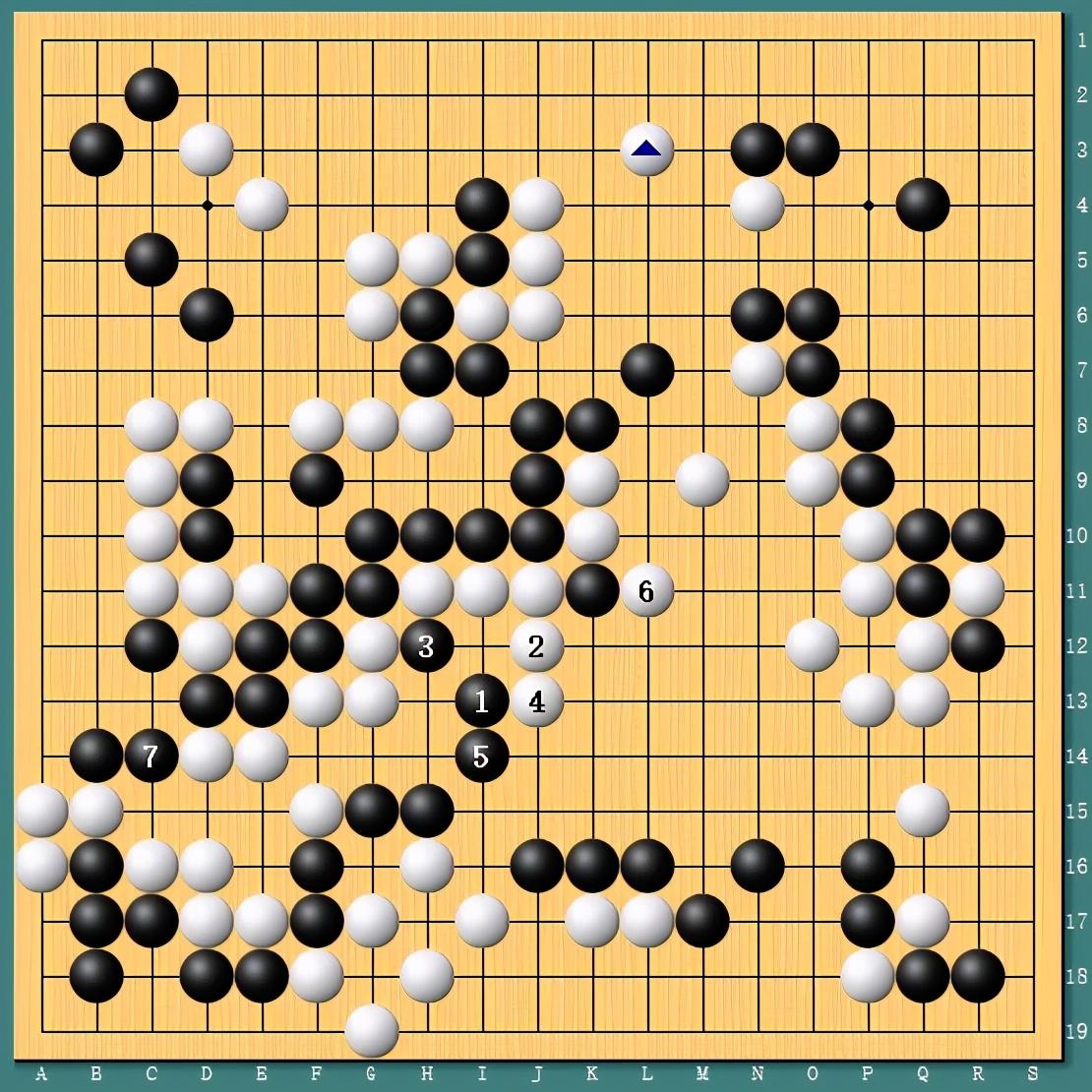 王中王四肖一碼資料論壇，探索與解析，王中王四肖一碼資料論壇，深度探索與解析