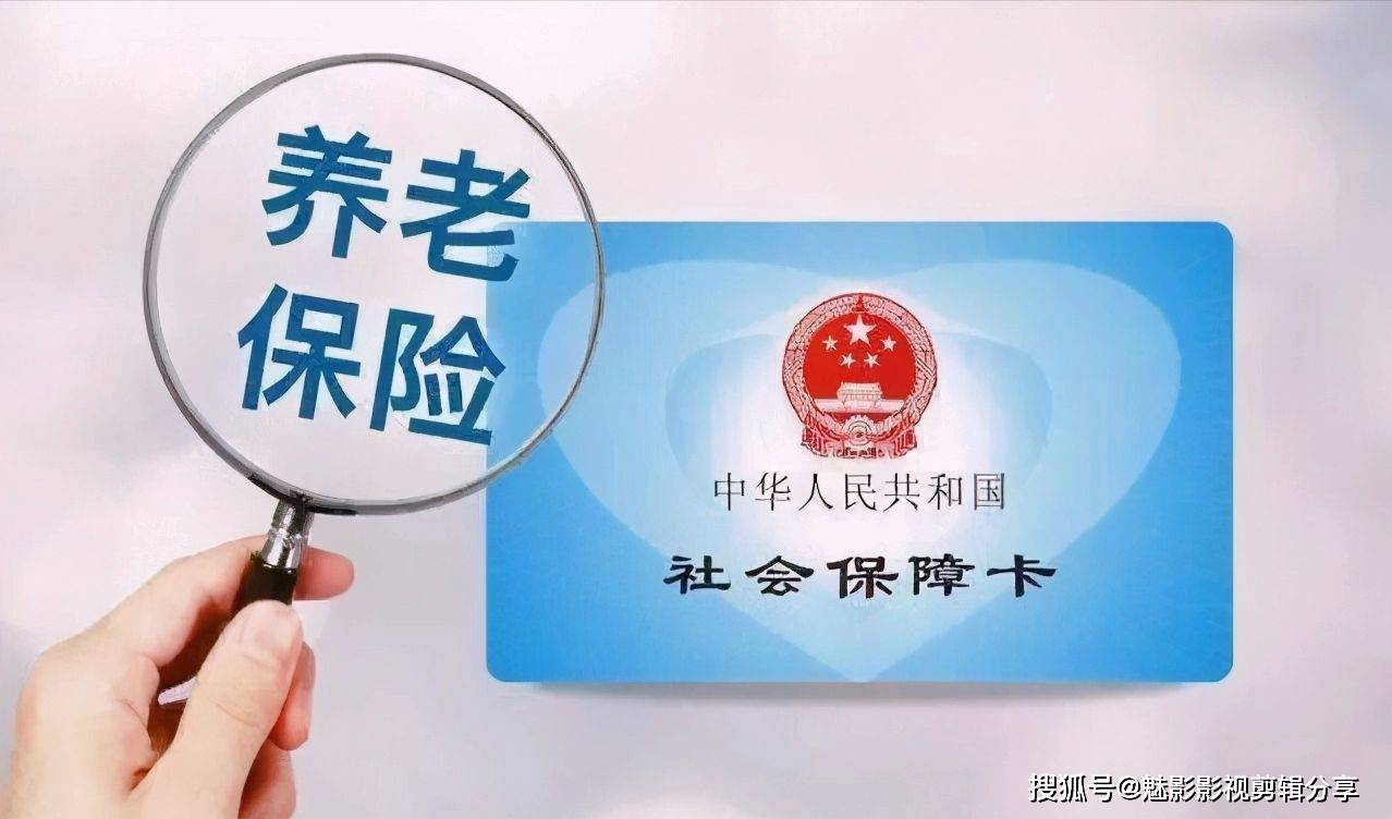 揭秘王中王一期一肖特中獎(jiǎng)背后的秘密，王中王一期一肖特中獎(jiǎng)背后的秘密揭秘