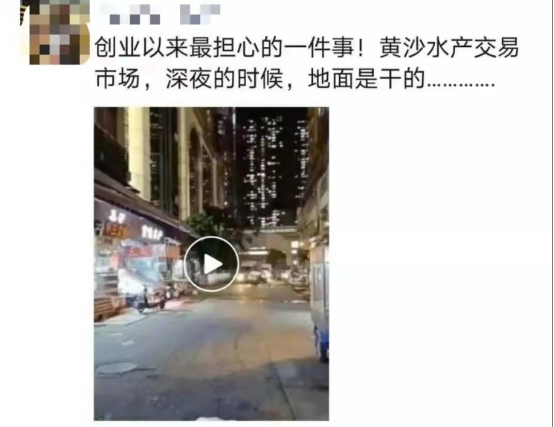 好料盡在王中王——揭秘生肖運勢的獨特魅力，揭秘生肖運勢獨特魅力，王中王好料大解密