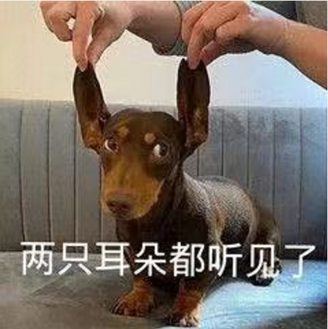 王中王四不象必中一肖，揭秘背后的秘密與策略，揭秘王中王四不象必中一肖背后的秘密與策略之道
