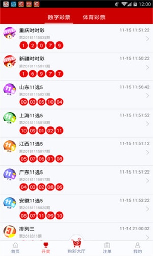 一碼一肖，揭秘背后的秘密與探索其獨(dú)特魅力，揭秘一碼一肖背后的秘密與獨(dú)特魅力探索