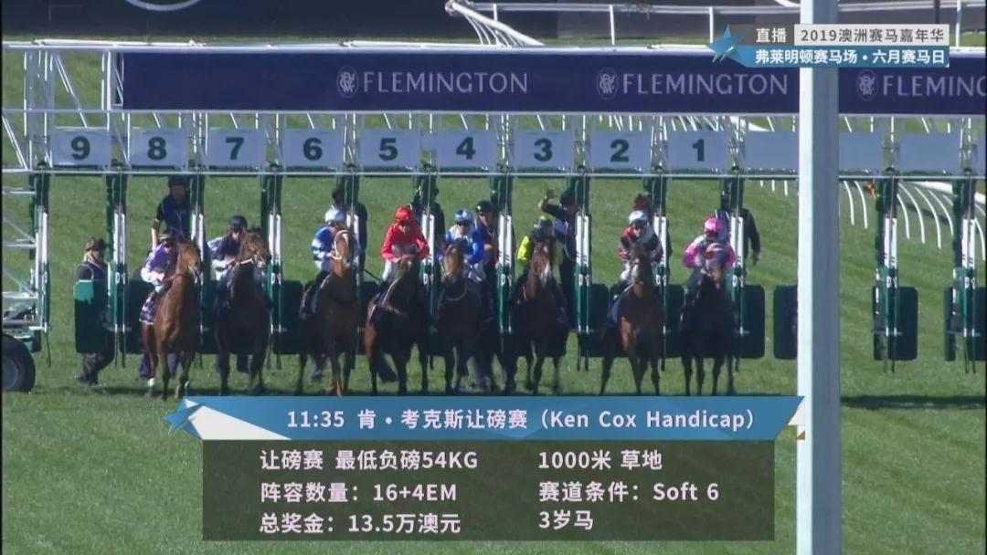 賽馬澳門六月開獎結(jié)果，探索與期待，澳門六月賽馬開獎揭曉，探索結(jié)果引期待