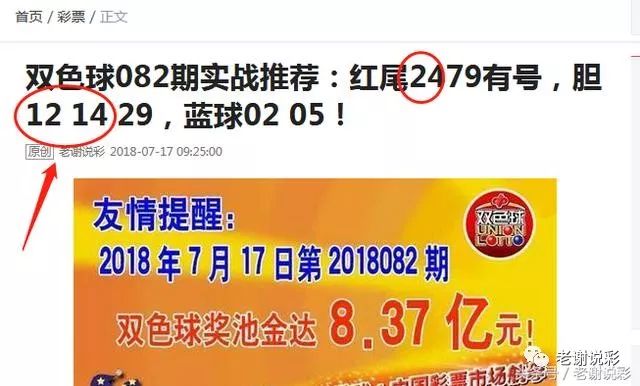 王中王082期指一生肖——探尋生肖魅力，洞悉運勢奧秘，探尋生肖魅力，揭秘運勢奧秘——王中王生肖運勢解析 082期