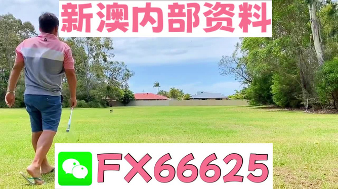 王中王一碼二肖，揭秘背后的秘密，揭秘王中王一碼二肖背后的秘密