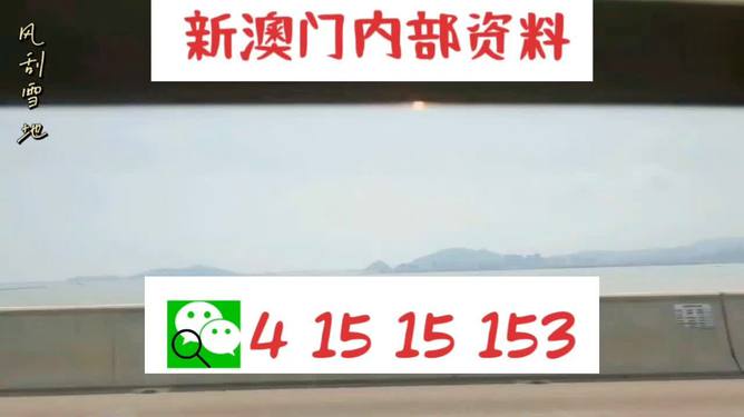 新澳2025最新資料生肖，深度解析與預(yù)測展望，新澳2025最新生肖資料深度解析與未來預(yù)測展望