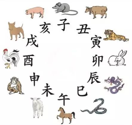 澳門天天彩期期精準(zhǔn)預(yù)測(cè)