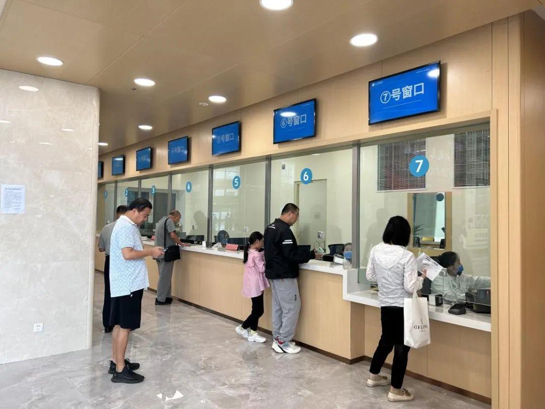 新門內(nèi)部資料免費(fèi)下載——探索與揭秘，新門內(nèi)部資料揭秘，免費(fèi)下載與探索之旅