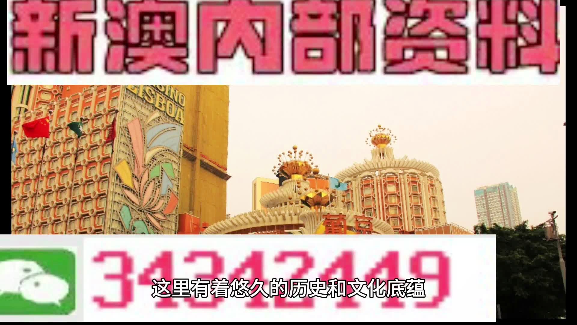 新門內(nèi)部資料大全免費(fèi)查詢——探索未知領(lǐng)域，獲取寶貴資源，新門內(nèi)部資料免費(fèi)探索，揭秘未知領(lǐng)域，獲取寶貴資源大全