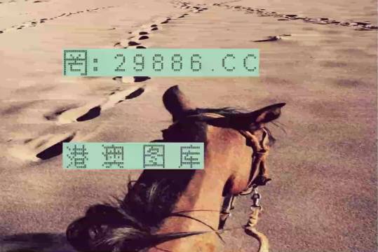 香港特馬資料王中王，揭秘背后的秘密，揭秘香港特馬資料王中王的背后秘密