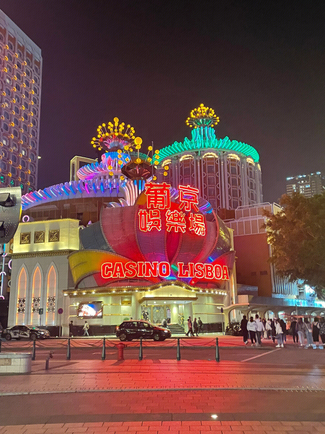 澳門今晚必開一肖一特芳草地，探索生肖與運勢的神秘面紗，澳門生肖運勢揭秘，探索今晚必開一肖一特芳草地神秘面紗的運勢之旅