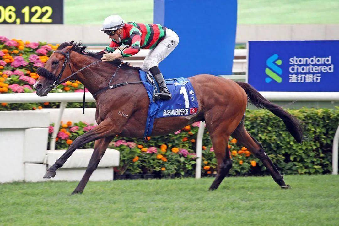 香港馬賽事，探索數(shù)字背后的激情與榮耀 7777788888，香港馬賽事，數(shù)字背后的激情與榮耀