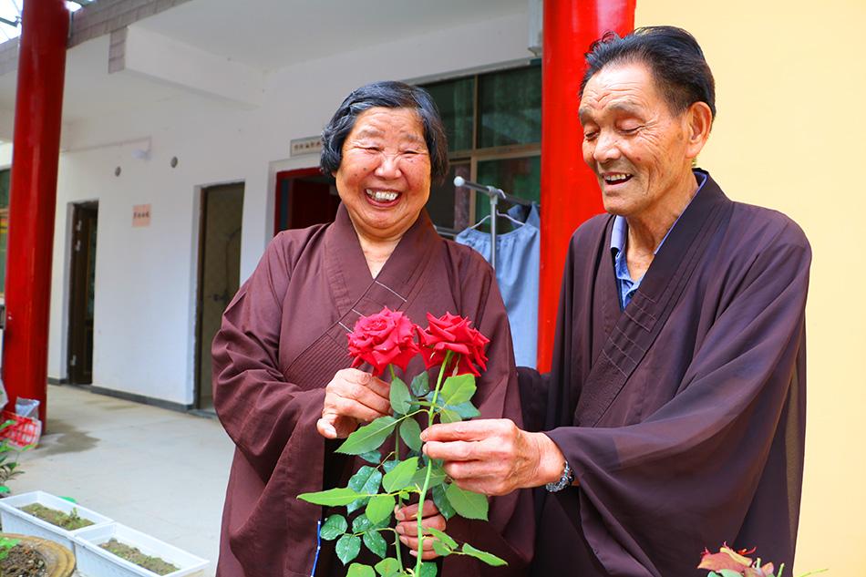 揭秘最準(zhǔn)一碼一肖，揭秘背后的秘密與真相，鳳凰網(wǎng)獨(dú)家報(bào)道，獨(dú)家揭秘，最準(zhǔn)一碼一肖背后的秘密真相（鳳凰網(wǎng)報(bào)道）