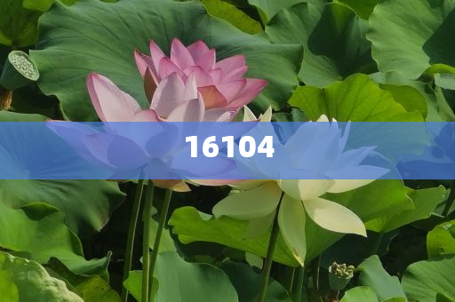 新奧600圖庫(kù)2025，探索與前瞻，新奧600圖庫(kù)2025，深度探索與未來展望