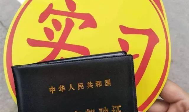 鐵算算盤(pán)4887三期必出特，揭秘背后的秘密與策略洞察，揭秘鐵算算盤(pán)三期必出特，策略洞察與秘密揭秘