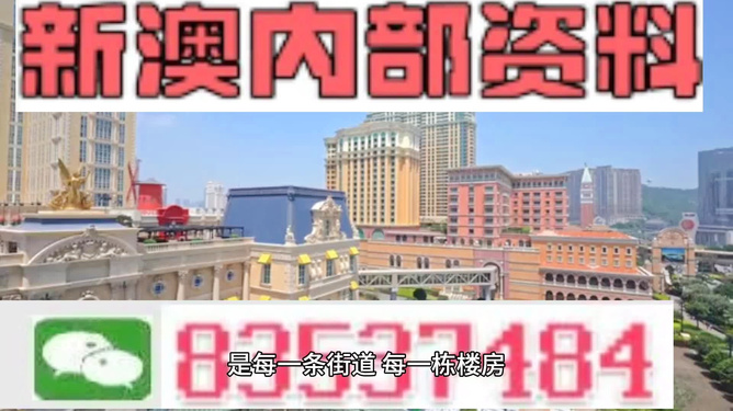 新澳門最精準(zhǔn)正最精準(zhǔn)龍門——探索澳門的魅力與機(jī)遇，澳門魅力與機(jī)遇探索，新澳門最精準(zhǔn)龍門