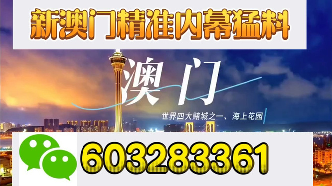 新澳門今晚開特馬結(jié)果，探索與期待，澳門今晚特馬開獎結(jié)果揭曉，期待與探索的交匯點