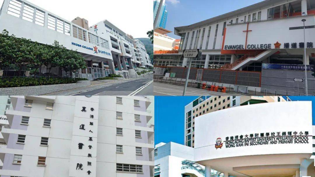 香港免費公開資料大全——探索無盡的資源寶庫，香港免費公開資料大全，資源寶庫深度探索