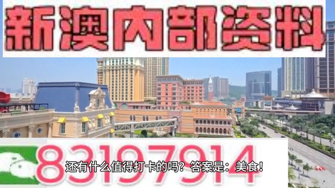 新澳門(mén)天天資料，探索與解讀，新澳門(mén)天天資料，深度探索與解讀