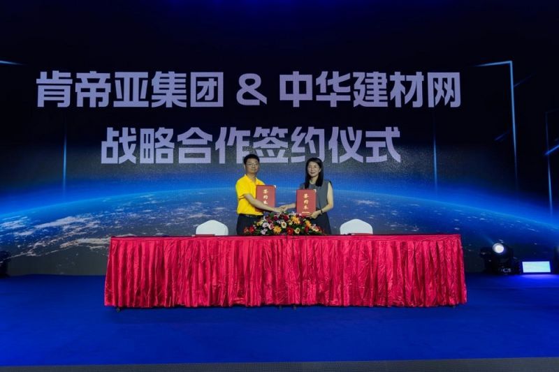 中國戰(zhàn)略網(wǎng)官網(wǎng)SEO文章，中國戰(zhàn)略網(wǎng)官網(wǎng)SEO策略與技巧詳解