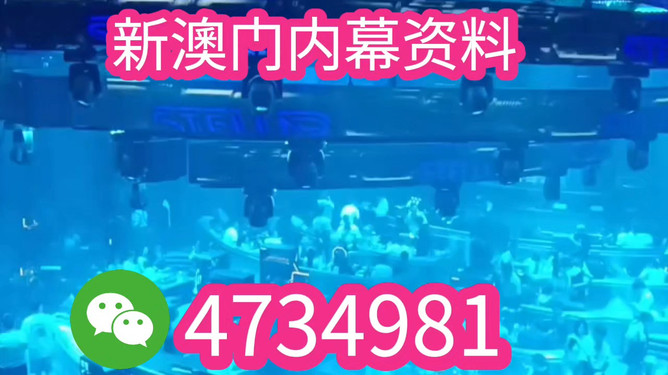 澳門特馬今晚開獎香港，探索彩票背后的文化魅力與未來展望（2025年展望），澳門特馬與香港彩票，文化魅力背后的未來展望（2025年展望）