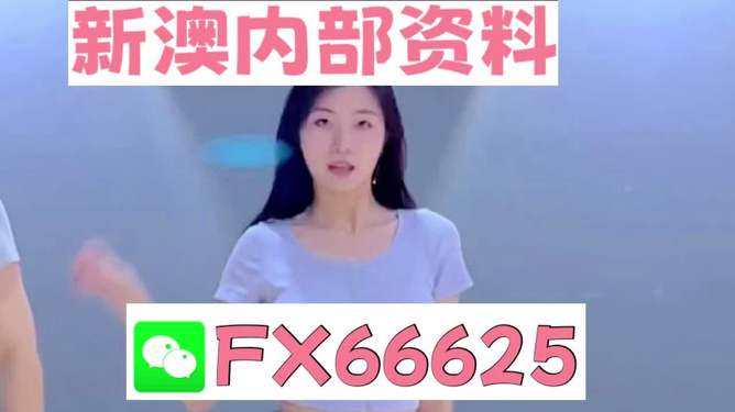 新澳門精準資料大全——管家婆料解析與探索，澳門精準資料大全，管家婆料解析與深度探索