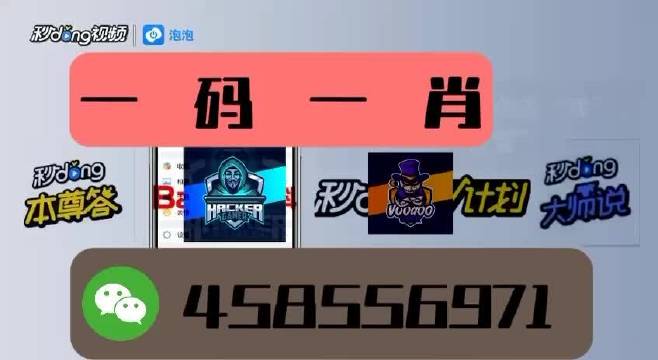 本期一肖一碼王中王，揭秘與探索，揭秘一肖一碼王中王，探索生肖與數字的神秘聯系