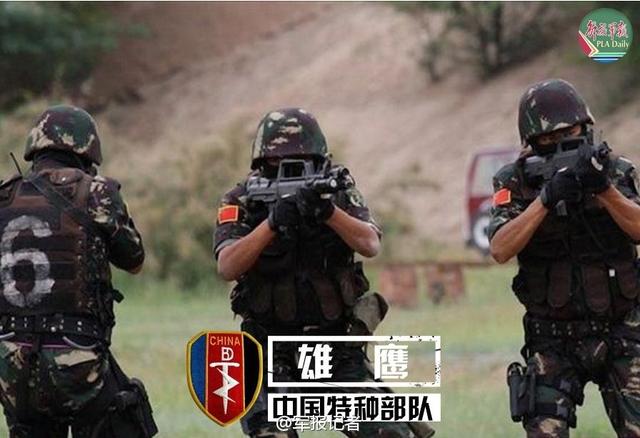 中國七大特種部隊，神秘的力量與卓越的能力，中國七大特種部隊，神秘力量與超凡能力的展現(xiàn)