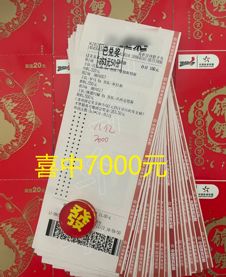 澳彩公證處一碼三中三，專業(yè)、公正、透明的彩票服務(wù)，澳彩公證處，專業(yè)、公正、透明的彩票服務(wù)，一碼三中三助您中獎！