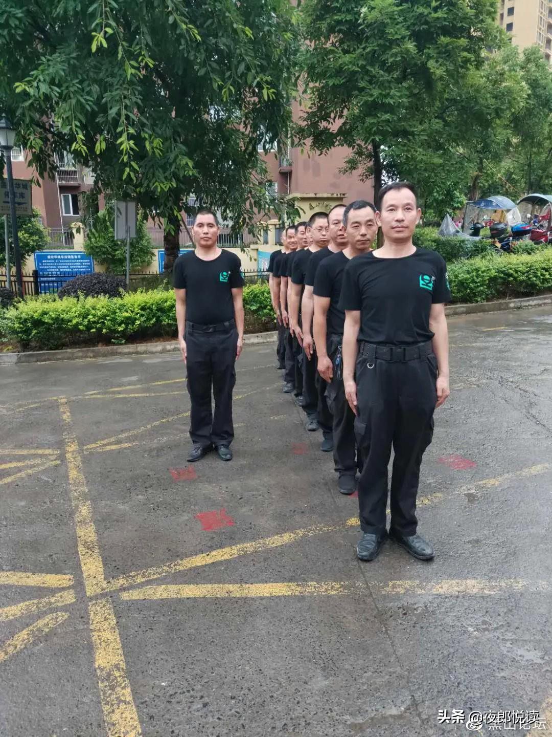 關(guān)于尋找一肖二碼中特站的探討，一肖二碼中特站的深度探討與尋找之路