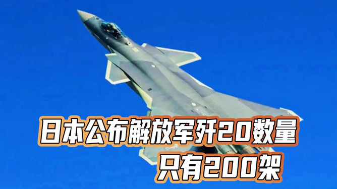 關(guān)于日本公布?xì)?20數(shù)量的探討，日本公布?xì)?20數(shù)量的深度探討