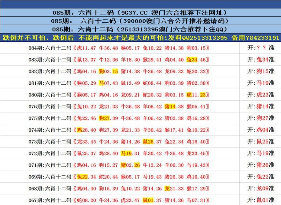 澳門六合正版資料，深度解析與探索，澳門六合正版資料深度解析與探索之旅