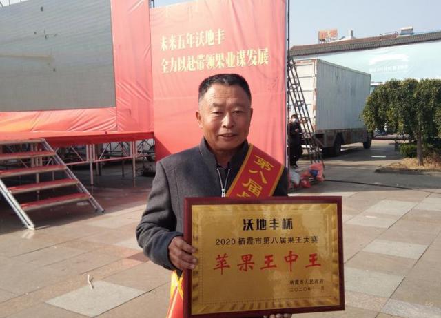 正版王中王一肖8碼中特，探索背后的秘密與真相，正版王中王一肖8碼中特，揭秘背后的真相與秘密