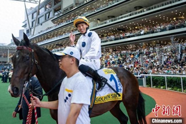 香港特馬王資料