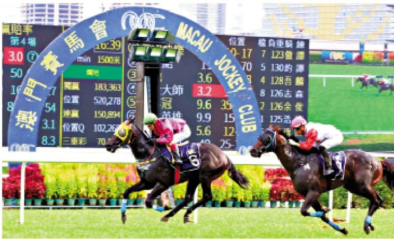 澳門賽馬會，歷史、文化與激情的交融，澳門賽馬會，歷史、文化與激情的盛會