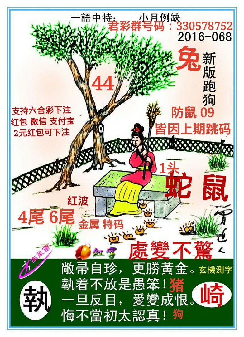 速度與激情