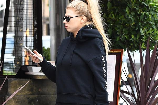 四不像一肖圖王中王，揭秘背后的奧秘與獨特魅力，揭秘四不像一肖圖王中王的奧秘與獨特魅力