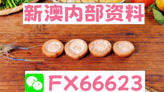 新澳全年免費(fèi)資料大全——探索與學(xué)習(xí)資源的寶庫，新澳全年免費(fèi)資料大全，探索與學(xué)習(xí)資源的終極寶庫