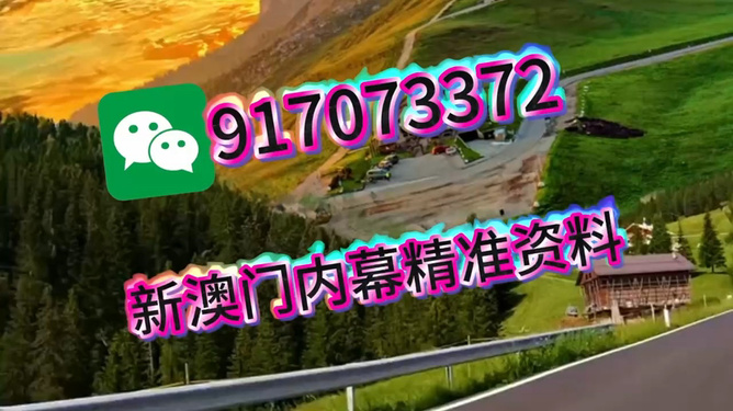 王中王一肖一中特，深度解析與SEO優(yōu)化策略，王中王一肖一中特深度解析與SEO優(yōu)化策略探討