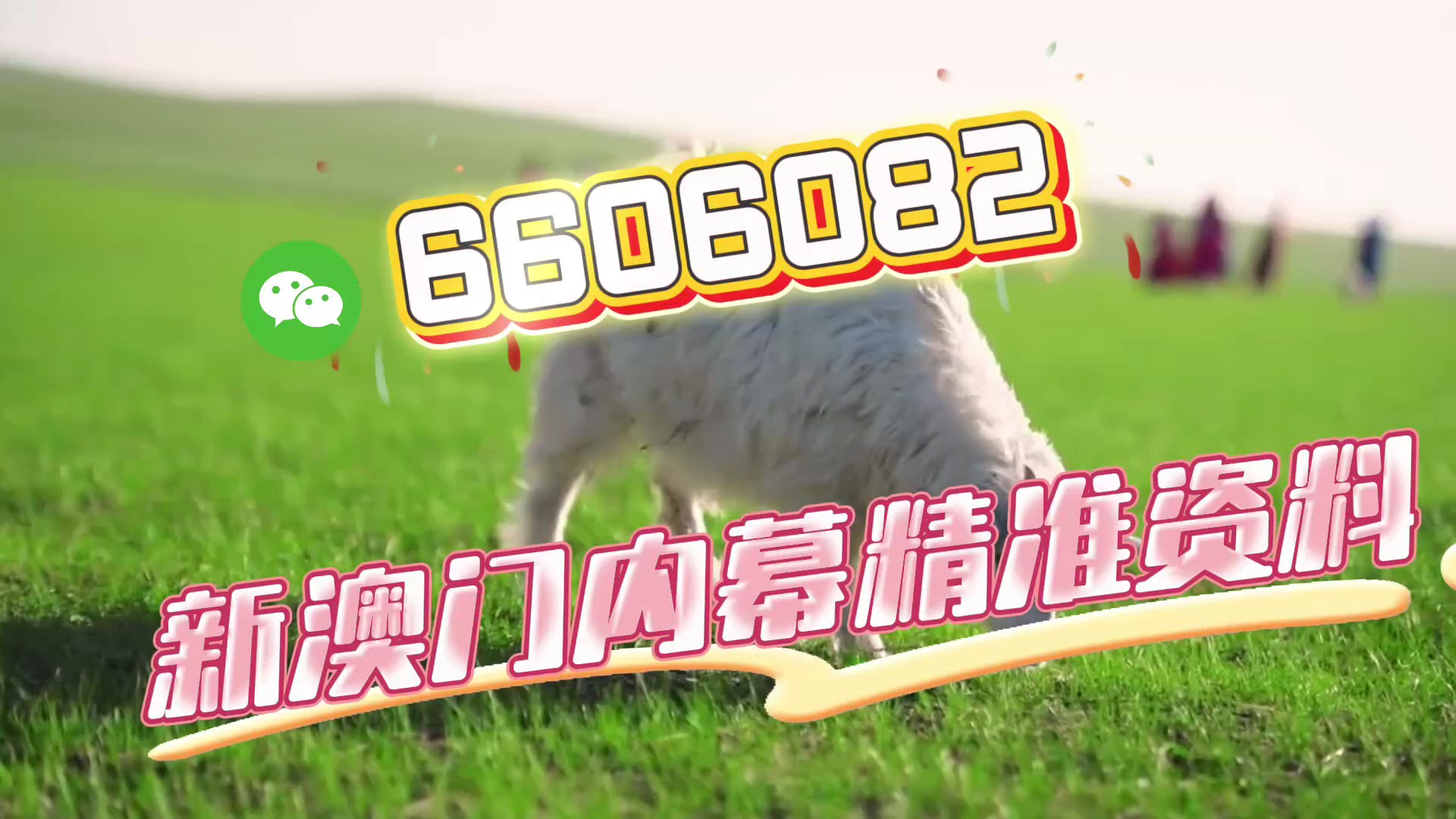 澳門一肖一碼準選今晚，揭秘彩票預測的秘密與策略，澳門彩票預測揭秘，今晚一肖一碼準選策略與秘密