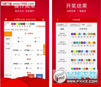 王中王三肖必出一肖，深度解析與探索，王中王三肖必出一肖，深度解析與探索揭秘