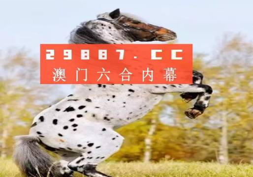 揭秘白小姐王中王四不像圖一，探尋肖中特的神秘面紗，揭秘白小姐王中王四不像圖與肖中特神秘面紗的背后真相